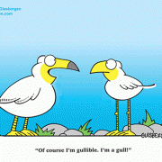 Of course I\'m gullible. I\'m a gull.
