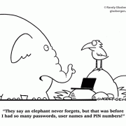 They say an elephant never forgets...but that was before I had so many passwords, user names and PIN numbers!