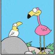 Bird Cartoons, flamingo, exotic birds, Cartoons About birds