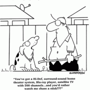Dog Cartoon: playing with dog, home theater, Hi-Def TV.