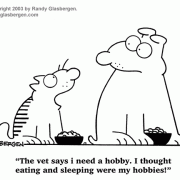 Cat Cartoons: hobby, hobbies, eating, sleeping