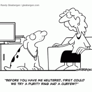 Dog Cartoon: neutering, purity ring, abstinence.