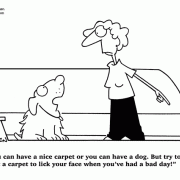 Dog Cartoons: bad dog, destructive pets, carpet stains