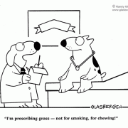 Pharmacy cartoons, prescriptions, prescription drugs, medicine, marijuana, grass, pot, pot smoking, veterinarian, doctor, prescribe, dogs, drugs, drug store, pharmacy, medicinal marijuana.