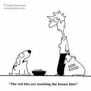 Dog Cartoon: dogfood, fussy eaters, feeding your dog