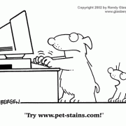 Computer Cartoons: home computer, home media center, computer desk, personal computer, family computer, family PC, pet stains, cleaning advice, Internet.