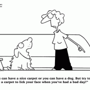 dog cartoons / dog50