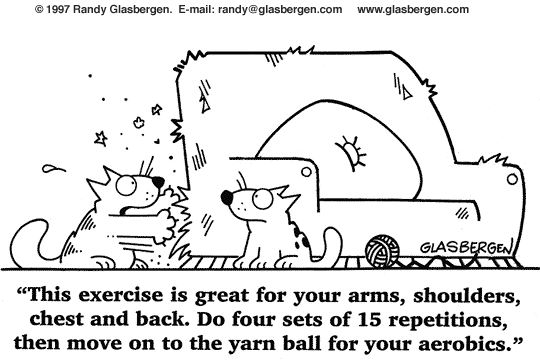 Funny Exercise Program For My Blog