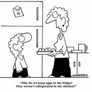 Why do we keep eggs in the fridge? They weren't refrigerated in the chicken!