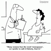 Many women fear the word \'menopause\' so I prefer to call it Puberty, Part II.