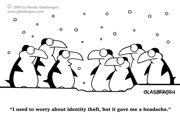funny penguins. Funny Penguins | Randy
