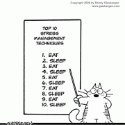 Stress Management Cartoons: stress management tips, relaxation techniques, dealing with stress, stress relief, coping with stress, stress advice, cat cartoons, stress eating, sleep disorder, stress and sleep, stress and food.