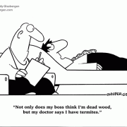 Not only does my boss think I'm dead wood, but my doctor says I have termites.