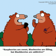 Digital Lifestyle Cartoons: digital media, new media, new media technology, digital media technology, digital innovation, digital media management, digital electronics, digital gadgets, BlackBerry, cartoon about bears, cell phone addiction, BlackBerry addiction.