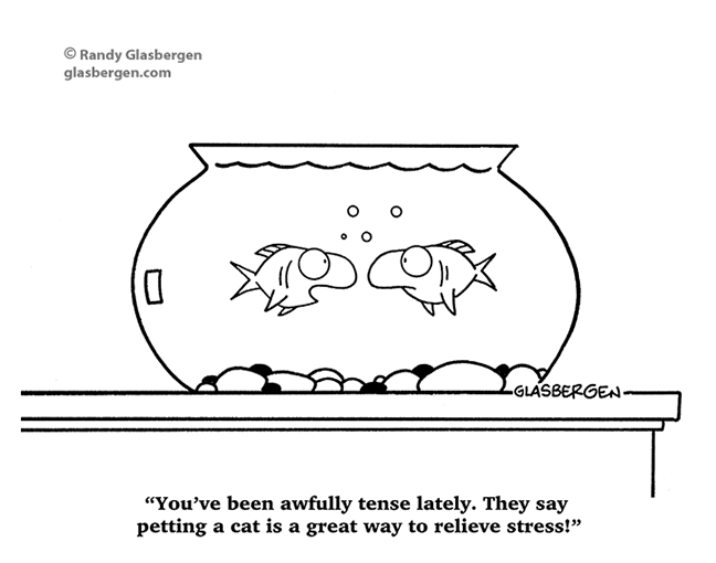Fish Jokes/Cartoons Archives Randy Glasbergen Glasbergen Cartoon
